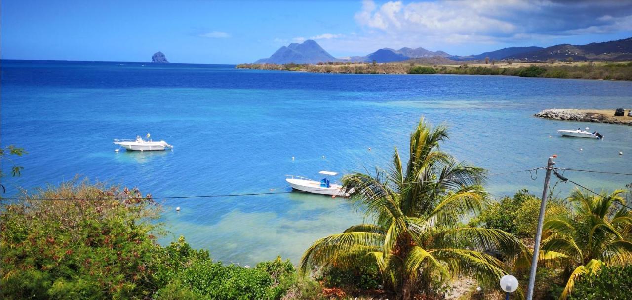 T2 Les pieds dans l'eau face à la mer des caraïbes Sainte Luce - Trois Rivières Exterior foto
