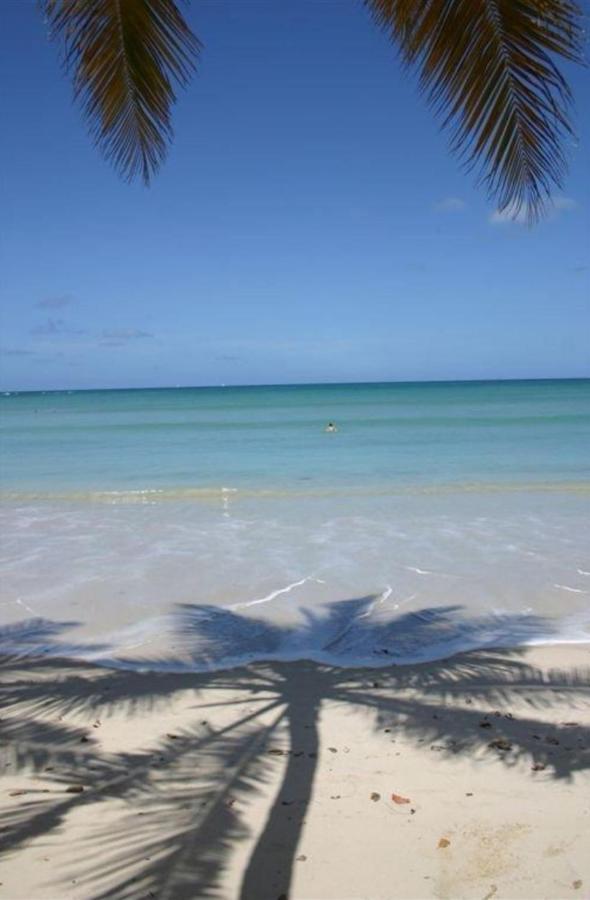 T2 Les pieds dans l'eau face à la mer des caraïbes Sainte Luce - Trois Rivières Exterior foto