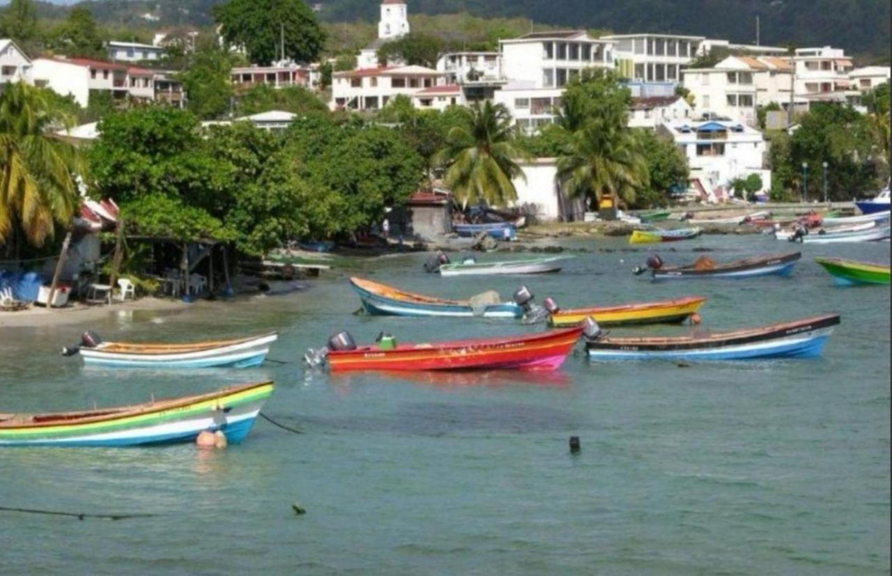 T2 Les pieds dans l'eau face à la mer des caraïbes Sainte Luce - Trois Rivières Exterior foto