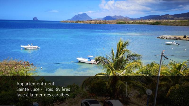 T2 Les pieds dans l'eau face à la mer des caraïbes Sainte Luce - Trois Rivières Exterior foto